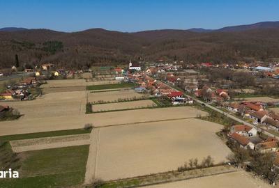 Teren de 2970 mp, în Mașloc - 10