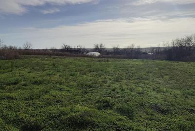 Casă cu 3 camere în Casicea - 5