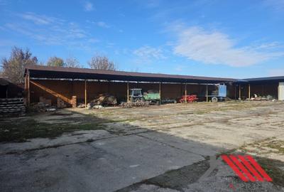 Cheveresul Mare – Platforma betonata, Hala - 5