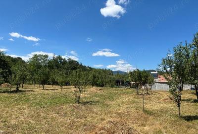 Casa de vanzare Maneciu Pamanteni PH - 1