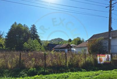 Teren de 5381 mp, în Văcarea - 5