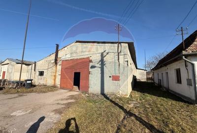 De vanzare spatii de productie si depozitare (hale),Sat Gheghie-Bihor - 3