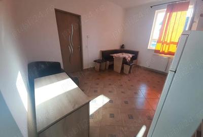 Apartament cu 2 camere decomandat în Turnișor - 9