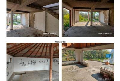 Casă individuală cu 2 camere cu Teren 377 Mp în Bogdan Vodă - 5