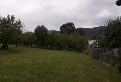 Spațiu comercial, în Văratec - 5