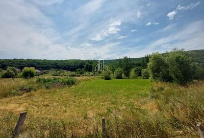 Teren 5200 Mp, Corunca, strada Primăriei - 2