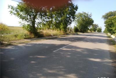 Teren de 5000 mp, în Cristești - 1