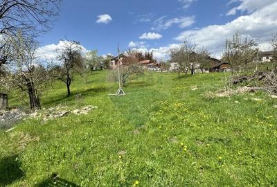 Teren Albesti Arges - Ultracentral - 7