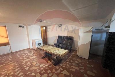 Casa -magazin Golesti - 3