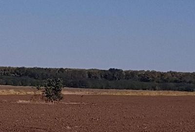 Branesti teren intravilan 30700 mp - 6