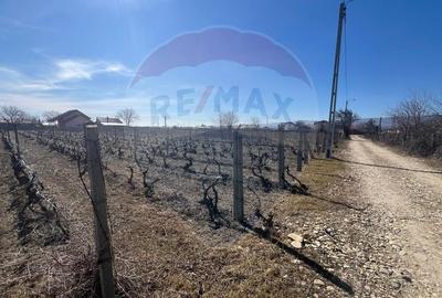 Teren intravilan Unirea Odobesti / Strada Grozesti - 8