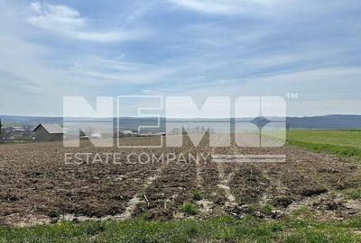 Teren de 3900 mp, în Pătrăuți - 8