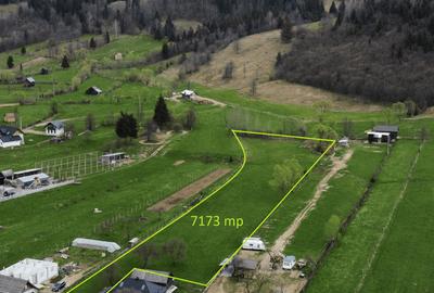 Teren intravilan de 7173 mp, în Vatra Moldoviței - 4
