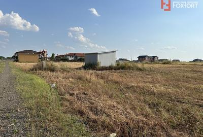 Teren Construcții intravilan de 700 mp, în Sânandrei - 2