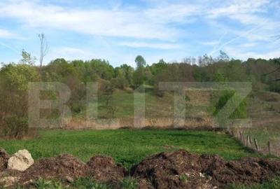 Teren intravilan/extravilan - 2