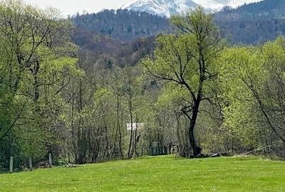 Teren superb Rasnov cu priveliste si rau - 3