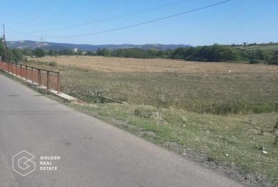 Terenuri 3699 mp, oras Lipova - 2