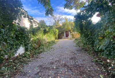 Casă interbelica de vanzare în zona Universitate - Armeneasca - Plantelor Casă interbelica de vanzare în zona Universitate - Armeneasca - Plantelor - 14