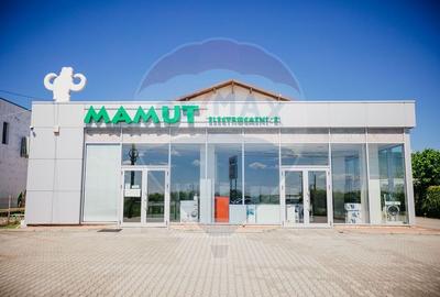 Spațiu comercial, de 285 mp, în Independenței - 1