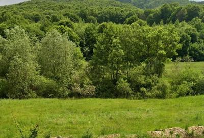 Teren de 965 mp, în Măieruș - 7