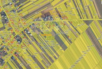 Teren intravilan 6,600mp Dumbraveni / Strada Principala spre Veresti - 4