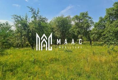 Teren Construcții de 12922 mp, în Loamneș - 1