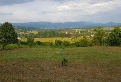 Teren de 2219 mp, în Remetea - 1