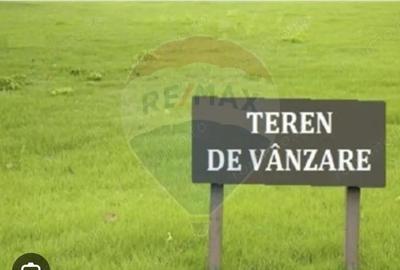 Pasune 21 ha pretabila pentru panouri fotovoltaice,impadurit - 3