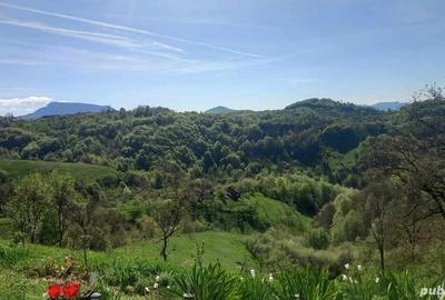 Vand casa la munte Vand casa la munte - 4