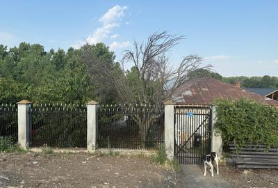 Casa de Vanzare Comuna Blejesti , Jud Teleorman - 6