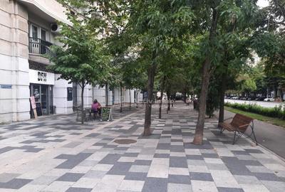 3 Camere, Decebal, Centrala, 10 min Metrou, Pet Friendly (t - 10