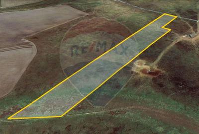 Teren agricol extravilan de 50000 mp, în Est - 23