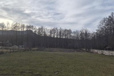 Spațiu comercial, în Săpânța - 2