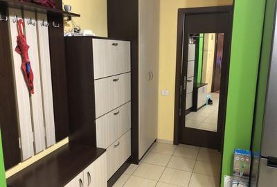 Apartament cu 2 camere decomandat în Beba Veche - 8