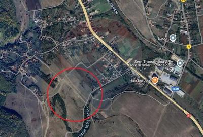 Teren de vanzare in Valcele,  3900 MP ! Comision 0% - 3