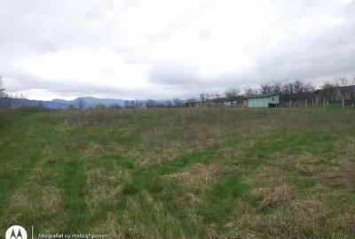 Teren de 844 mp, în Lăpuș - 1