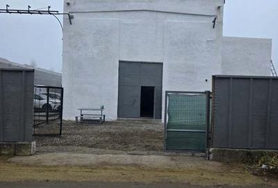 Hala de inchiriat - 4