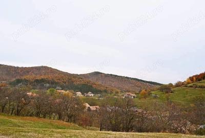 Teren de 26600 mp, în Central - 1