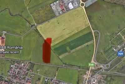 Inchiriez teren Inchiriez teren - 1