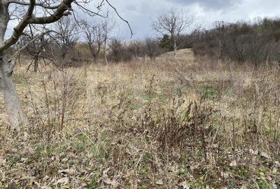 Teren intravilan in suprafata de 2000 mp, zona Episcopiei - 1