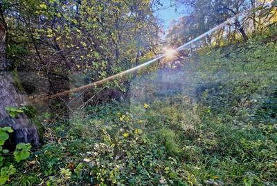 Teren de 725 mp, în Feleacu - 5