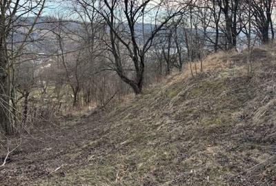 Teren de 1800 mp, în Central - 7