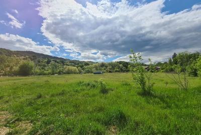 Teren de 5000 mp, în Vlădesti - 8