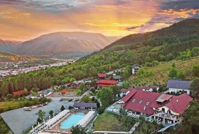 Afacere vand teren intravilan 4.2 ha agrement parc foto-voltaice in Liubcova - 3