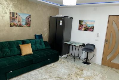 Garsonieră  Craiovei,  confort 1 - stradal , complet utilată  si mobilata - 7