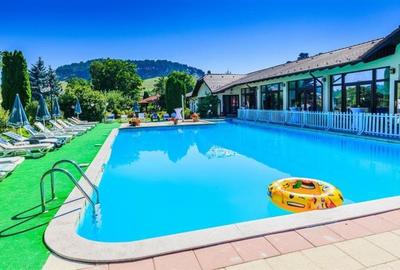 Hotel Bielmann,unicitate si profitabilitate optima in turism,Sanpetru, Brasov - 60