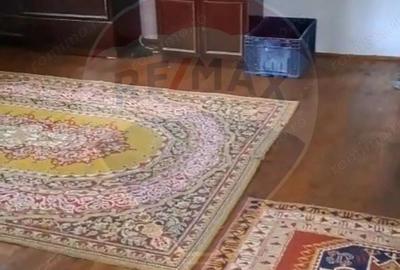 Casa langa parau-sat Brusturi, com. Halmagiu - 12