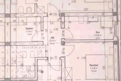 Casă cu 3 camere cu Teren 250 Mp în Plopi - 2