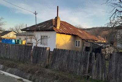 Casă cu Teren 480 Mp în Gura Caliței - 2