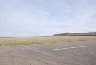 Teren de 270000 mp, în Gherghița - 6
